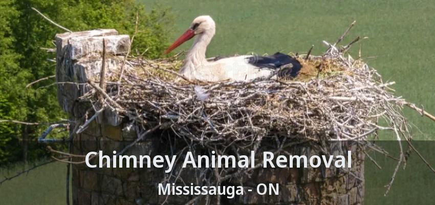 Chimney Animal Removal Mississauga - ON