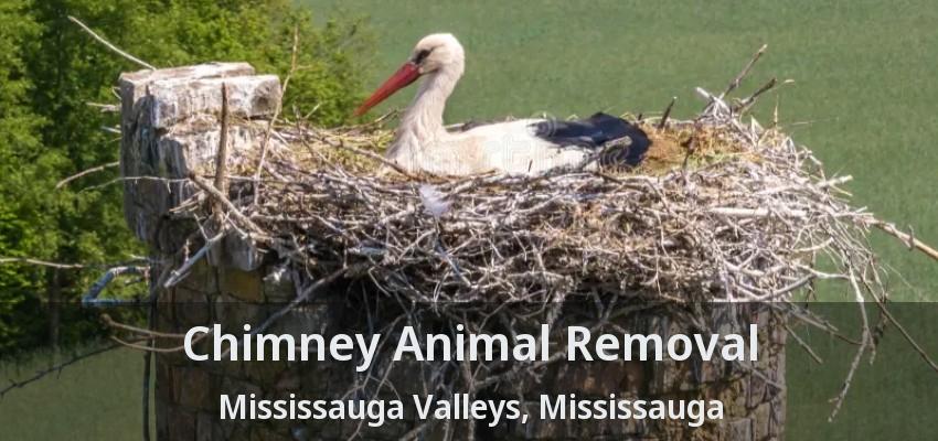 Chimney Animal Removal Mississauga Valleys, Mississauga - ON
