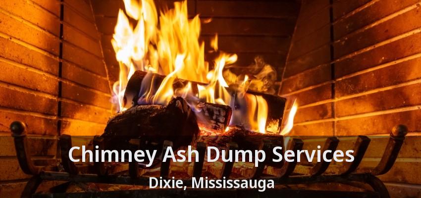 Chimney Ash Dump Services Dixie, Mississauga - ON