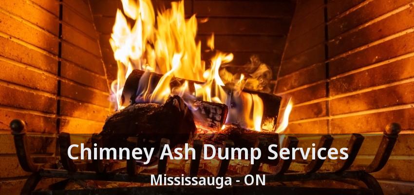 Chimney Ash Dump Services Mississauga - ON