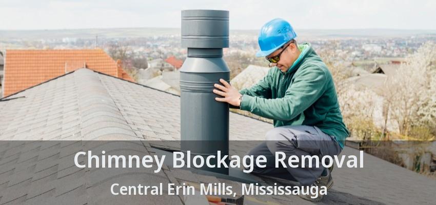 Chimney Blockage Removal Central Erin Mills, Mississauga - ON