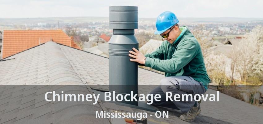 Chimney Blockage Removal Mississauga - ON