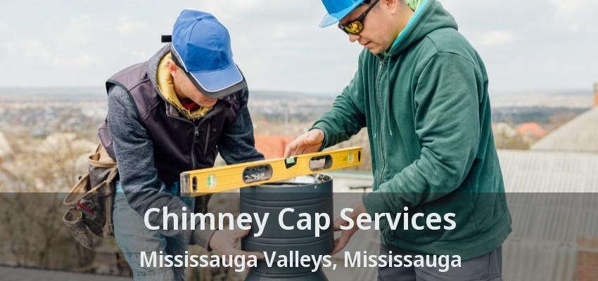Chimney Cap Services Mississauga Valleys, Mississauga - ON
