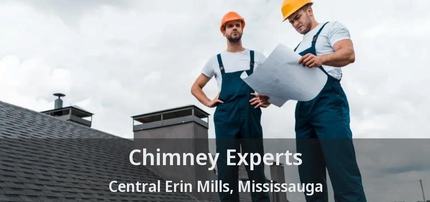 Chimney Experts Central Erin Mills, Mississauga - ON