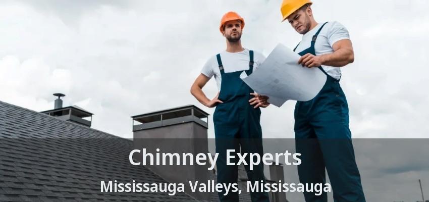 Chimney Experts Mississauga Valleys, Mississauga - ON