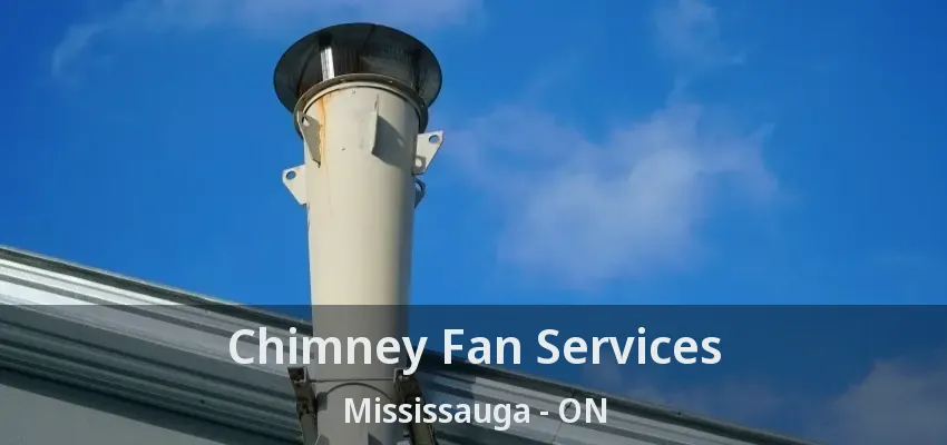 Chimney Fan Services Mississauga - ON
