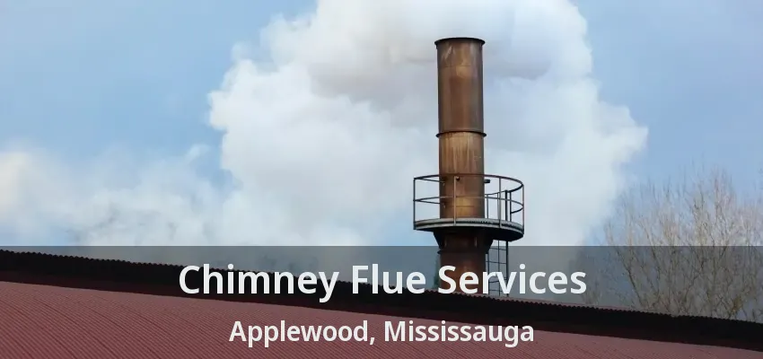 Chimney Flue Services Applewood, Mississauga - ON