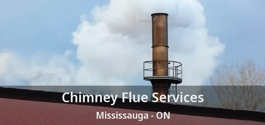 Chimney Flue Services Mississauga - ON