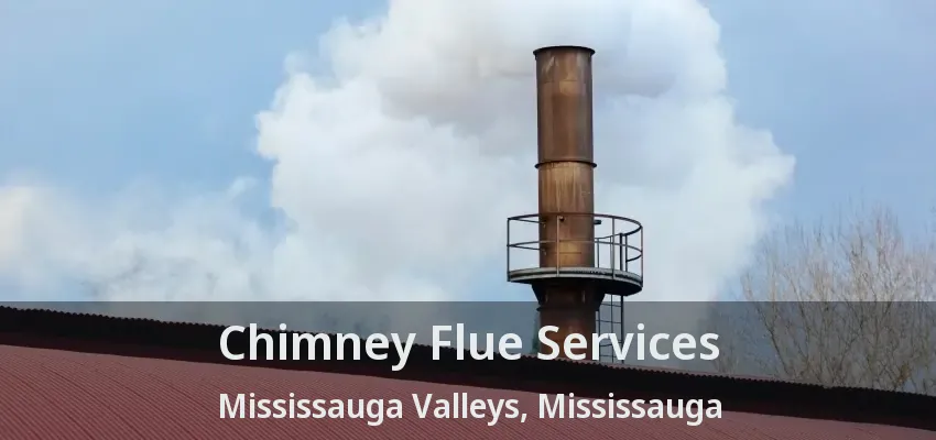 Chimney Flue Services Mississauga Valleys, Mississauga - ON