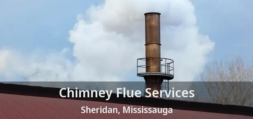 Chimney Flue Services Sheridan, Mississauga - ON
