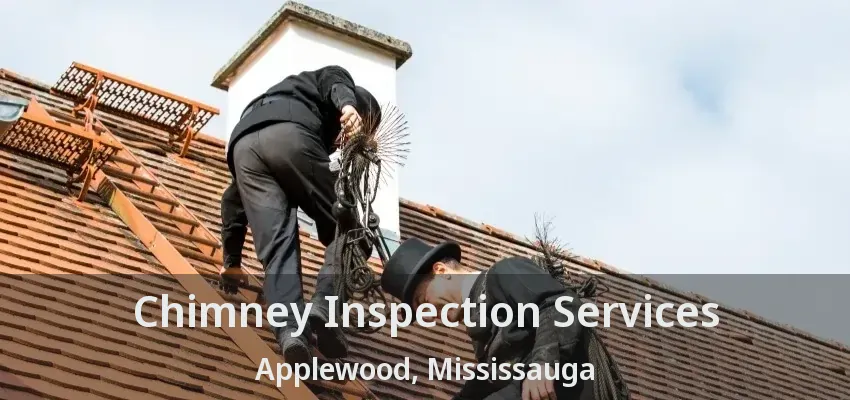 Chimney Inspection Services Applewood, Mississauga - ON