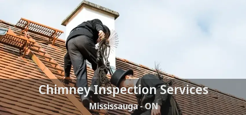 Chimney Inspection Services Mississauga - ON