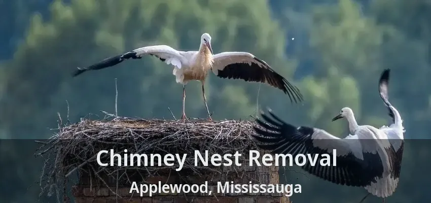 Chimney Nest Removal Applewood, Mississauga - ON