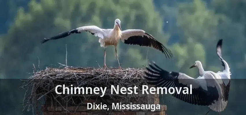 Chimney Nest Removal Dixie, Mississauga - ON