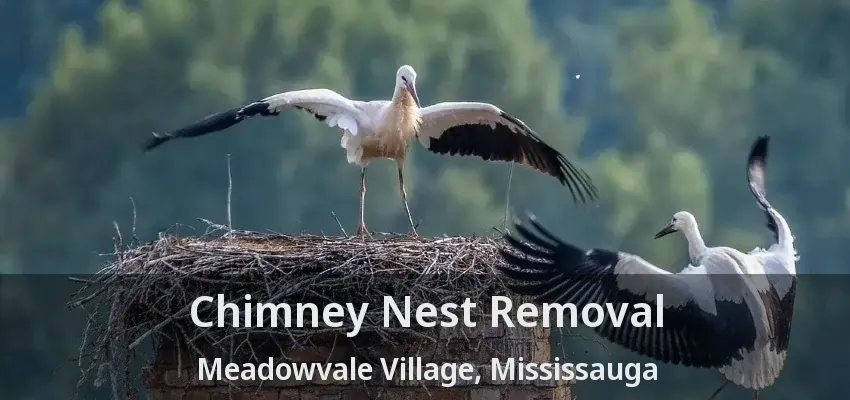 Chimney Nest Removal Meadowvale Village, Mississauga - ON