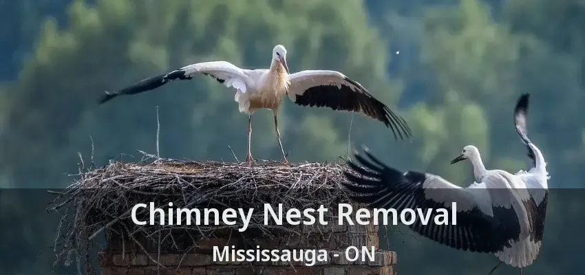 Chimney Nest Removal Mississauga - ON