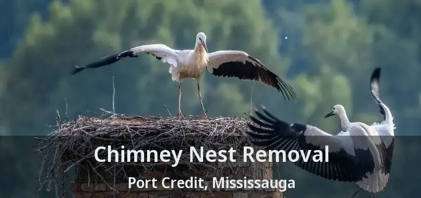 Chimney Nest Removal Port Credit, Mississauga - ON