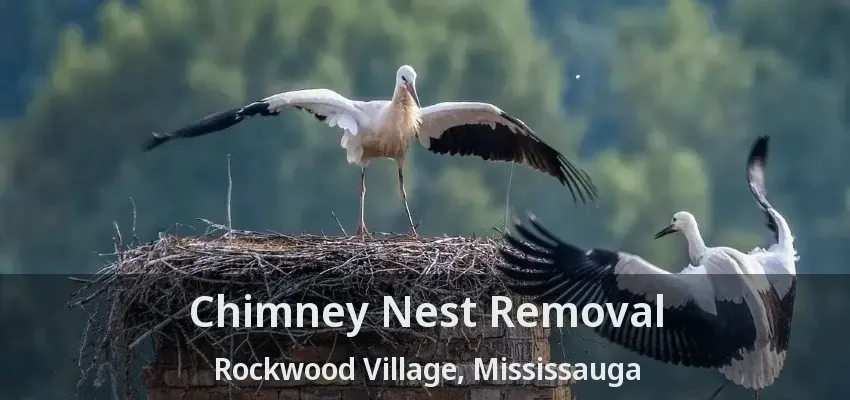 Chimney Nest Removal Rockwood Village, Mississauga - ON