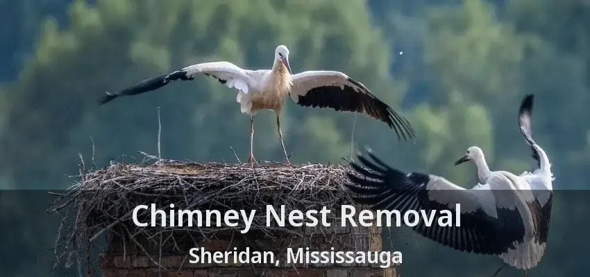 Chimney Nest Removal Sheridan, Mississauga - ON