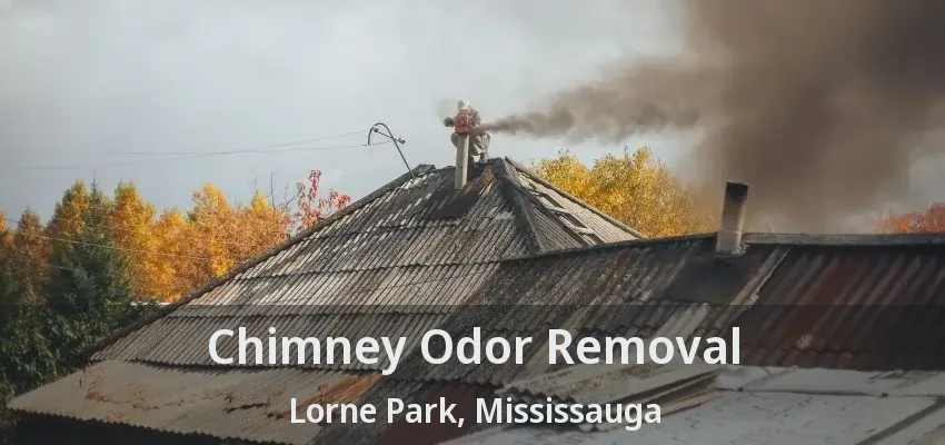 Chimney Odor Removal Lorne Park, Mississauga - ON