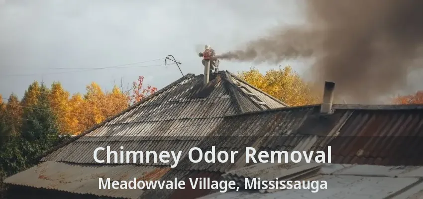 Chimney Odor Removal Meadowvale Village, Mississauga - ON