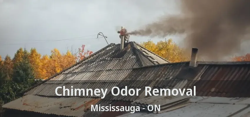 Chimney Odor Removal Mississauga - ON
