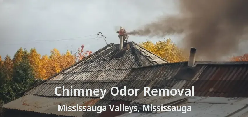 Chimney Odor Removal Mississauga Valleys, Mississauga - ON