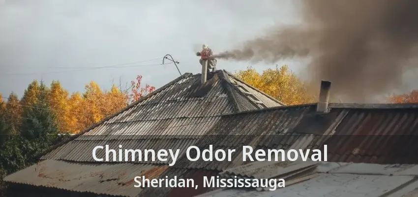 Chimney Odor Removal Sheridan, Mississauga - ON