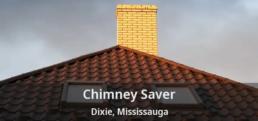 Chimney Saver Dixie, Mississauga - ON