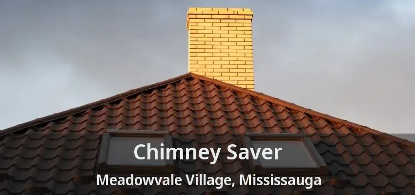 Chimney Saver Meadowvale Village, Mississauga - ON