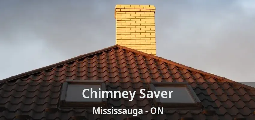 Chimney Saver Mississauga - ON