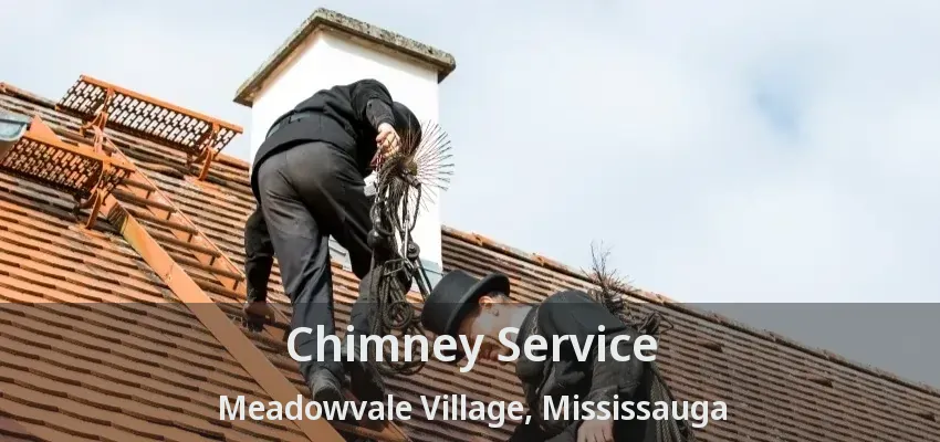 Chimney Service Meadowvale Village, Mississauga - ON