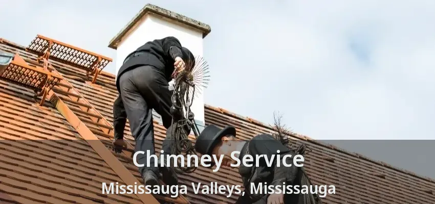 Chimney Service Mississauga Valleys, Mississauga - ON
