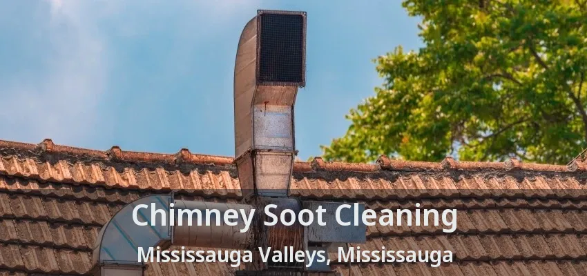 Chimney Soot Cleaning Mississauga Valleys, Mississauga - ON