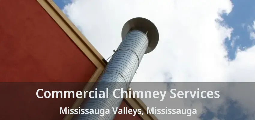 Commercial Chimney Services Mississauga Valleys, Mississauga - ON