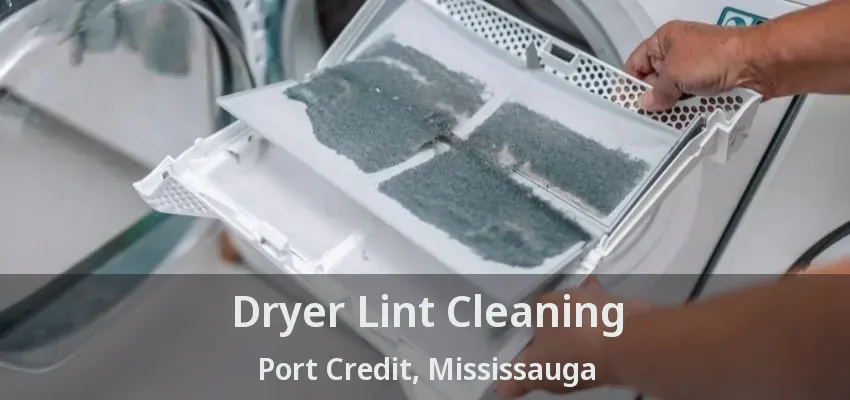 Dryer Lint Cleaning Port Credit, Mississauga - ON