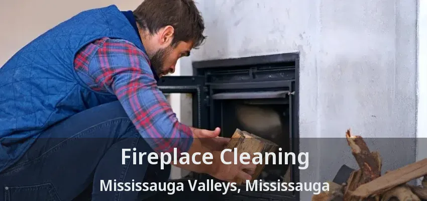 Fireplace Cleaning Mississauga Valleys, Mississauga - ON
