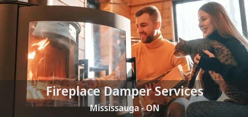 Fireplace Damper Services Mississauga - ON
