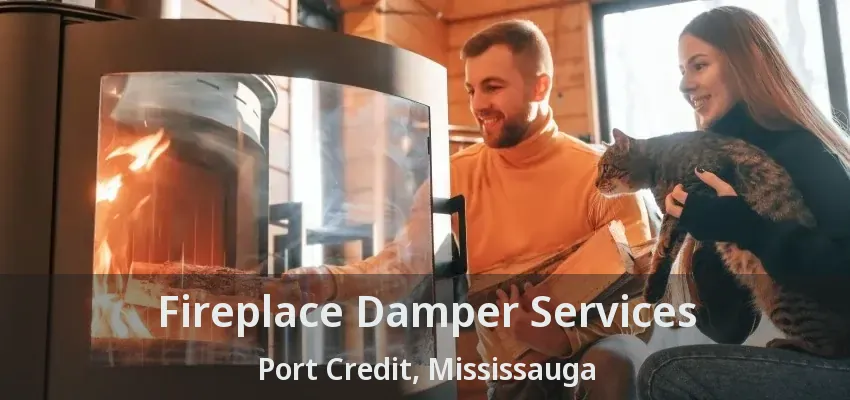 Fireplace Damper Services Port Credit, Mississauga - ON