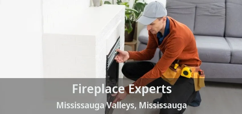 Fireplace Experts Mississauga Valleys, Mississauga - ON