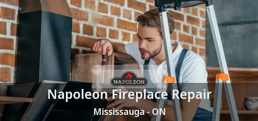 Napoleon Fireplace Repair Mississauga - ON