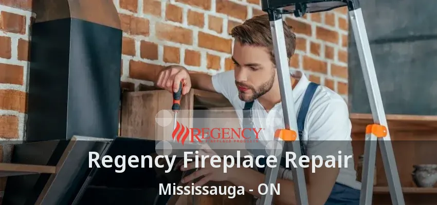 Regency Fireplace Repair Mississauga - ON