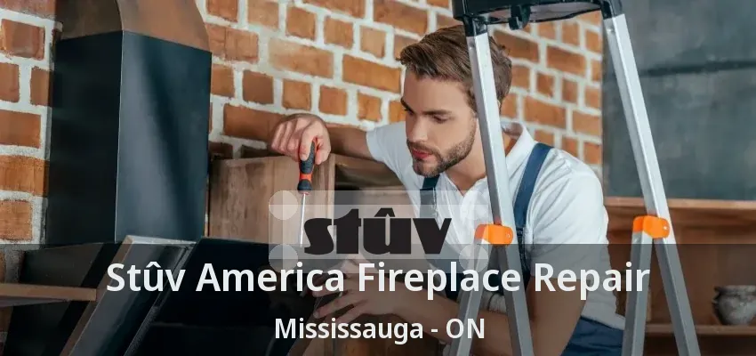Stûv America Fireplace Repair Mississauga - ON