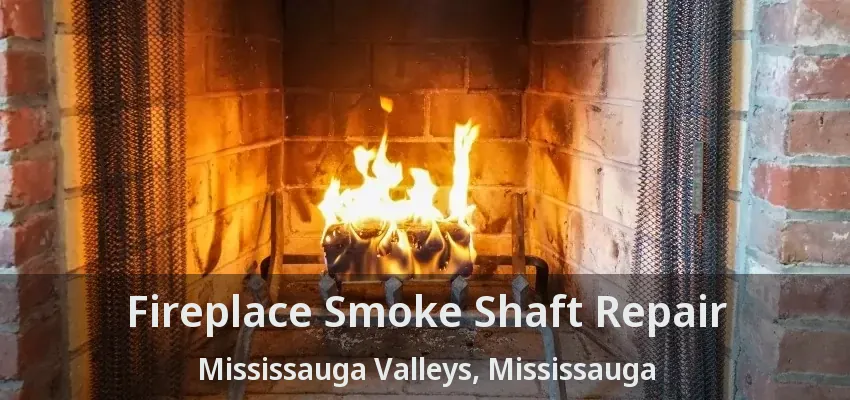 Fireplace Smoke Shaft Repair Mississauga Valleys, Mississauga - ON