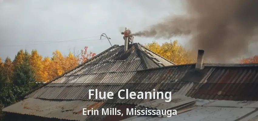 Flue Cleaning Erin Mills, Mississauga - ON