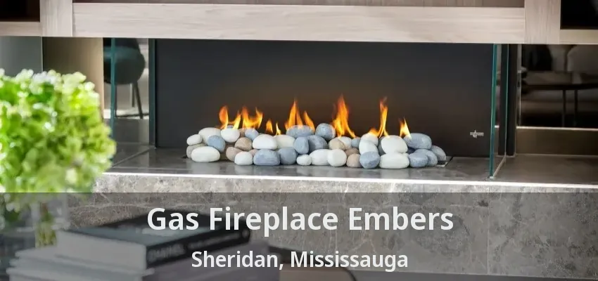 Gas Fireplace Embers Sheridan, Mississauga - ON