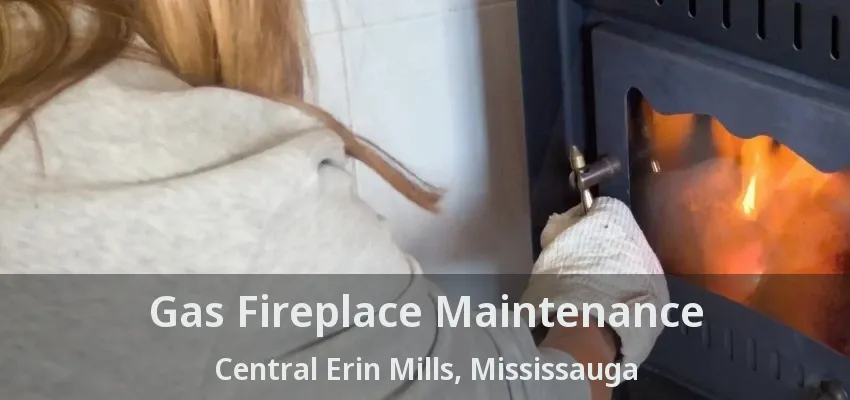 Gas Fireplace Maintenance Central Erin Mills, Mississauga - ON