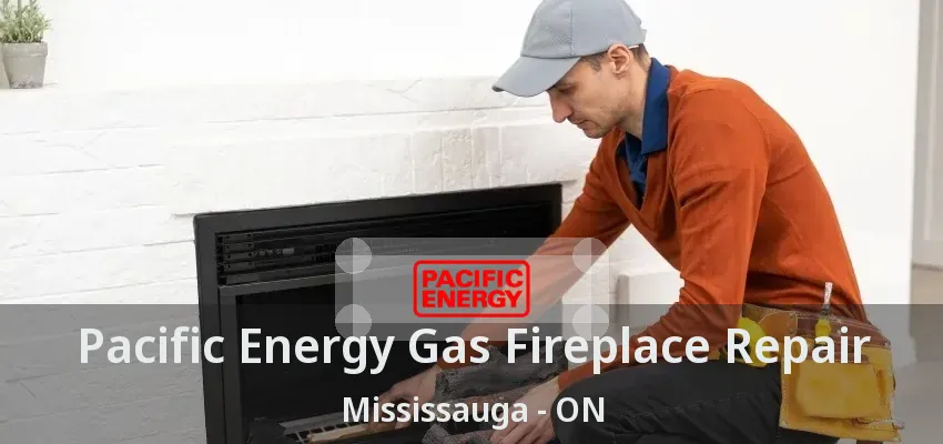 Pacific Energy Gas Fireplace Repair Mississauga - ON
