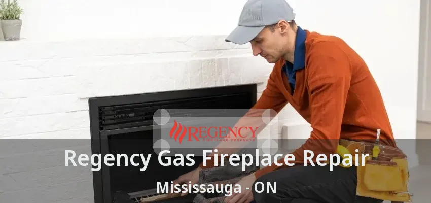 Regency Gas Fireplace Repair Mississauga - ON
