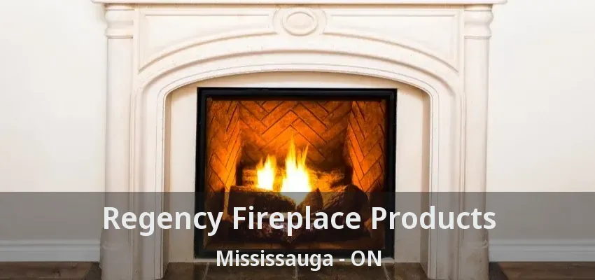 Regency Fireplace Products Mississauga - ON
